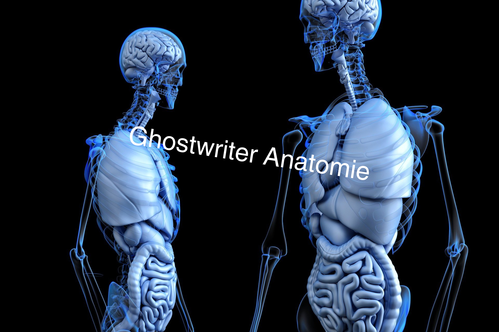 Ghostwriter Anatomie